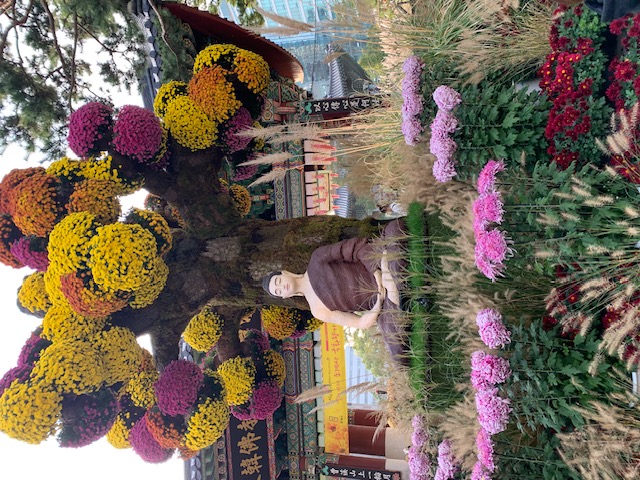 Jogyesa-Tempel in Seoul mit bunten Chrysanthemen und Buddhastatue